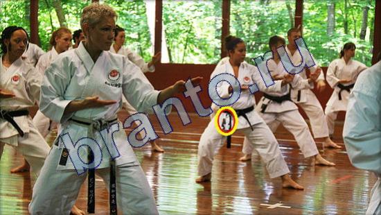 Где же кот ответы в одноклассниках Уровень 2199