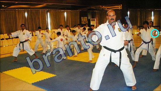 Где же кот игра ответы Уровень 2200