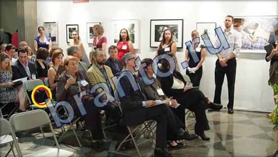 Где же кот игра ответы в одноклассниках Уровень 2207