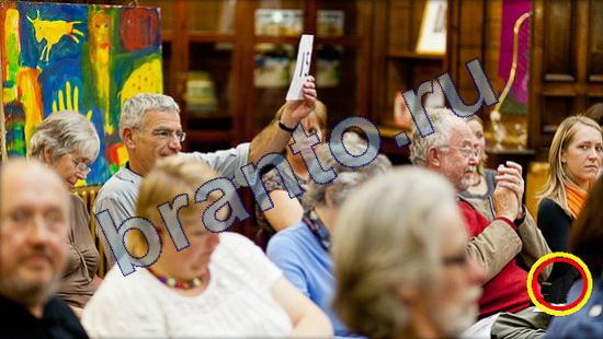 решебник на игру Где же кот Уровень 2211