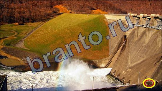 Где же кот прохождение игры Уровень 2222