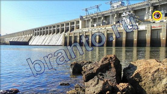 ответы Где же кот Уровень 2225