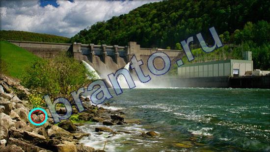 Где же кот игра ответы Уровень 2229