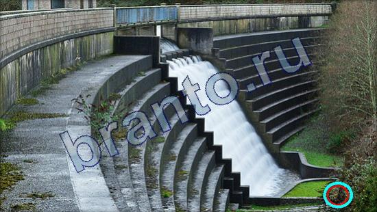 игра в одноклассниках Где же кот ответы Уровень 2230