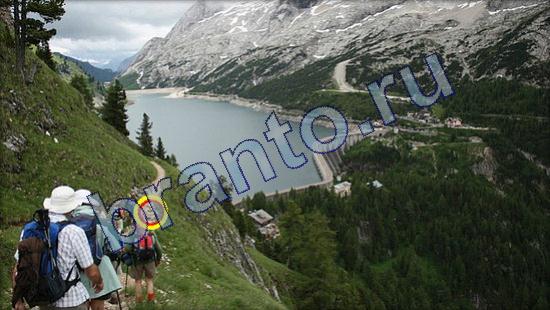 решения на игру Где же кот Уровень 2235