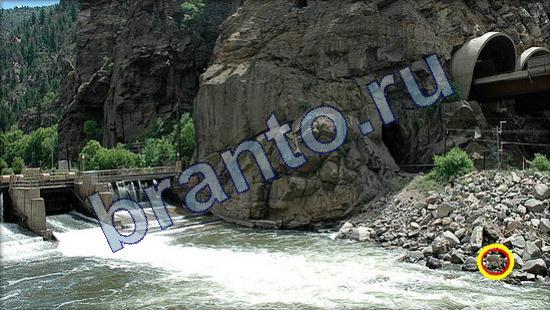 ответы на игру Где же кот Уровень 2236