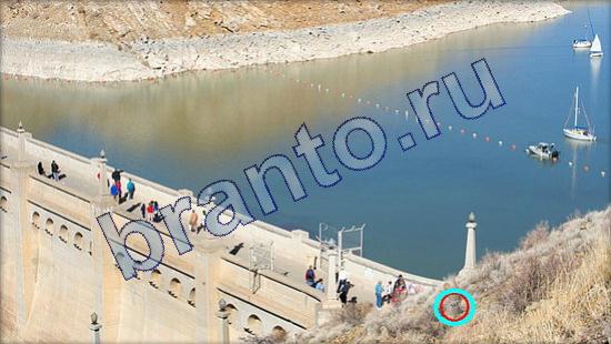 ответы в картинках на игру Где же кот Уровень 2237