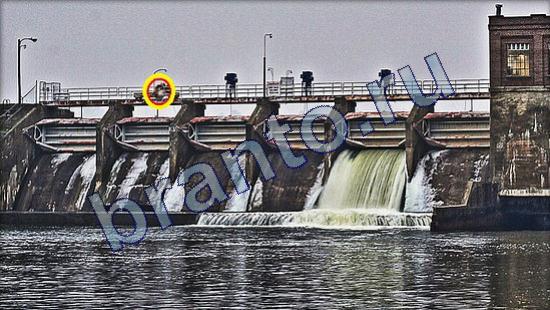 Где же кот ответы в одноклассниках Уровень 2239