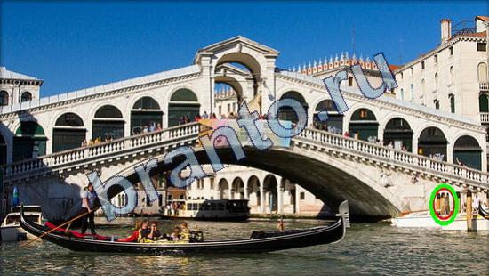 Подсказки на игру Где же кот Уровень 2282