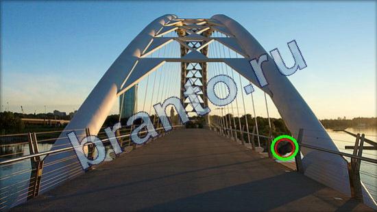 Решения на игру Где же кот Уровень 2283