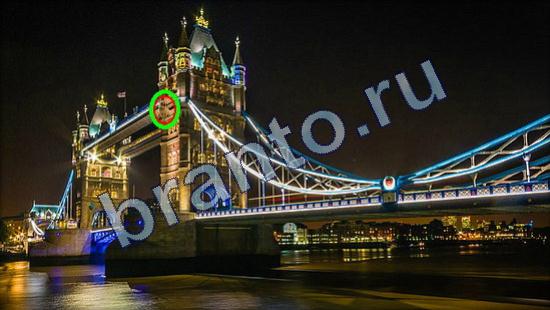 ответы к игре Где же кот Уровень 2285