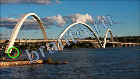 ответы на игру в одноклассниках Где же кот Уровень 2286