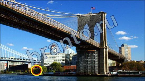 Где же кот? ответы Уровень 2288