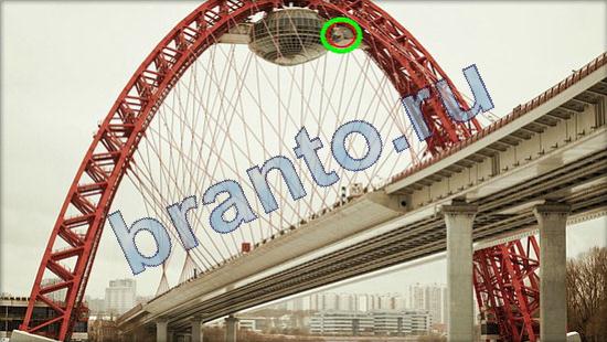 Где же кот игра помощь Уровень 2295