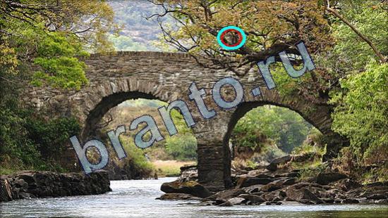 Где же кот ответы в картинках Уровень 2296