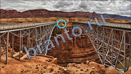 Игра Где же кот ответы Уровень 2297