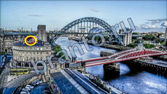 Игра Где же кот прохождение Уровень 2300