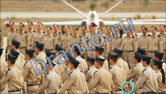 ответы на игру Где же кот в одноклассниках Уровень 2303