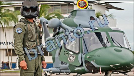 игра в одноклассниках Где же кот ответы Уровень 2310