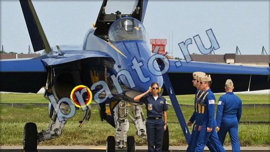 Где же кот ответы на новые задания Уровень 2313