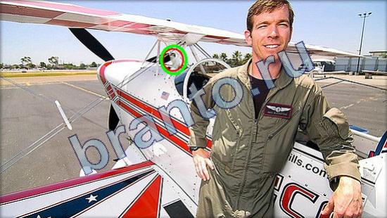 ответы в картинках на игру Где же кот Уровень 2317