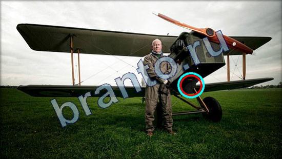 помощь на игру Где же кот Уровень 2318