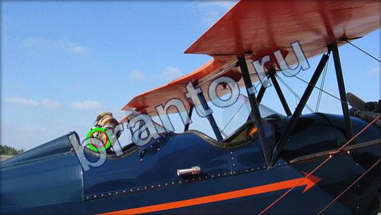 Где же кот ответы в одноклассниках Уровень 2319