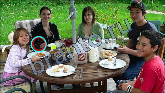 Подсказки на игру Где же кот Уровень 2322