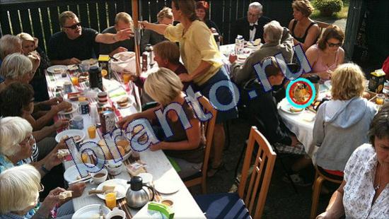 Решения на игру Где же кот Уровень 2323