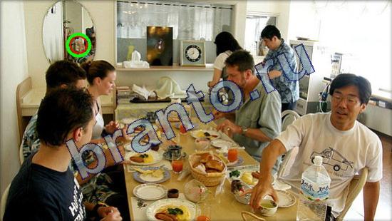 Где же кот? ответы Уровень 2328