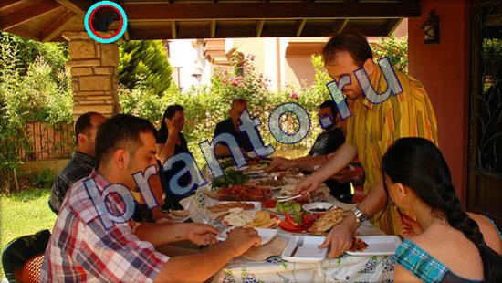 Где же кот? помощь Уровень 2330