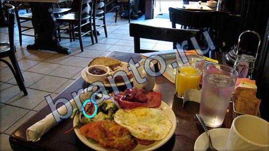 Где же кот ответы в картинках Уровень 2336