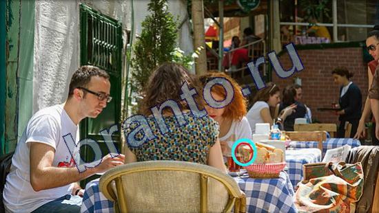 Игра Где же кот ответы Уровень 2337