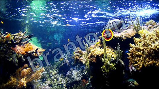 прохождение на игру Где же кот Уровень 2341