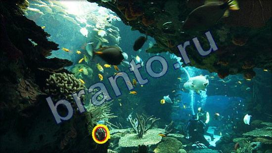 Где же кот прохождение игры Уровень 2342