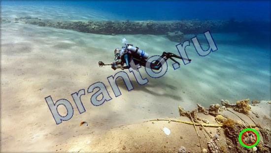 Прохождение игры Где же кот Уровень 2344