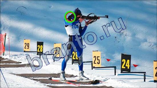 Решения на игру Где же кот Уровень 2363