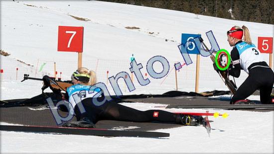 Помощь на игру Где же кот Уровень 2364