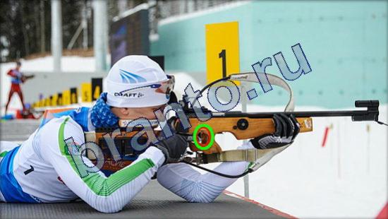 Где же кот? подсказки Уровень 2369