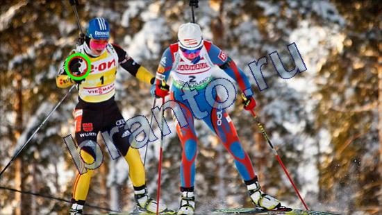 решебник на игру Где же кот Уровень 2371