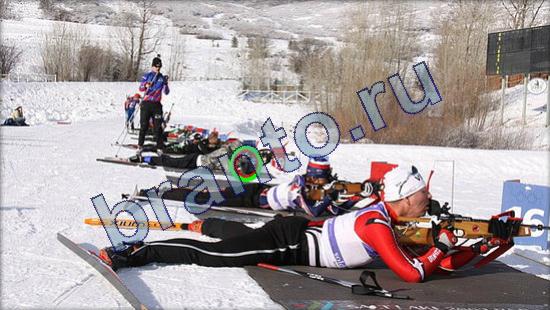 Где же кот? решения Уровень 2372