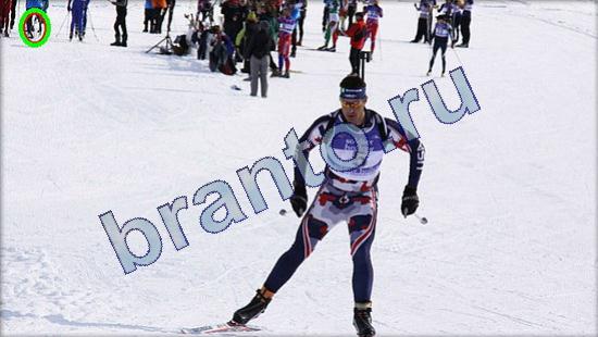 Где же кот игра ответы Уровень 2373