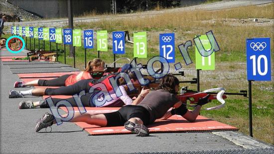 Где же кот игра помощь Уровень 2375