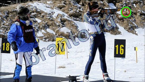 Игра Где же кот прохождение Уровень 2380