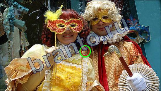 Где же кот прохождение игры Уровень 2382