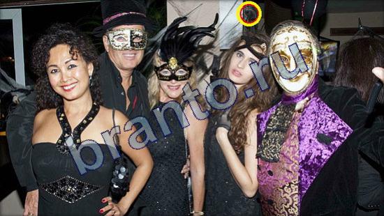 ответы на игру Где же кот Уровень 2394