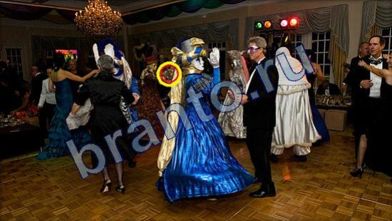 ответы в картинках на игру Где же кот Уровень 2397