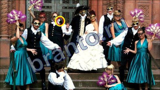 помощь на игру Где же кот Уровень 2398