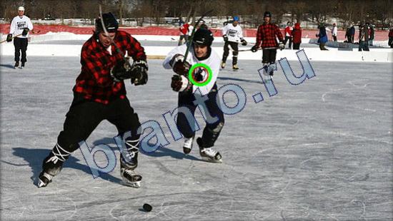 Решения на игру Где же кот Уровень 2443