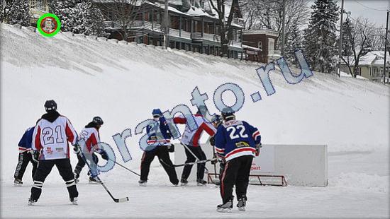 Помощь на игру Где же кот Уровень 2444
